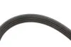 Ремінь генератора Citroen Berlingo/Peugeot Partner 1.1/1.4/1.6 96- (4PK855) UA63 MEYLE 050 004 0855 (фото 2)
