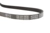 Ремінь генератора Citroen Berlingo/Peugeot Partner 1.1/1.4/1.6 96- (4PK855) UA63 MEYLE 050 004 0855 (фото 3)