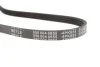 Ремінь генератора Citroen Berlingo/Peugeot Partner 1.1/1.4/1.6 96- (4PK855) UA63 MEYLE 050 004 0855 (фото 3)
