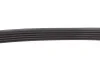 Ремінь генератора BMW 3 (E46)/5 (E39) 1.8D/2.0D 98-03 (5PK835) UA63 MEYLE 050 005 0835 (фото 3)