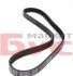 Ремінь генератора BMW/Citroen/Daewoo/Fiat (5PK975) UA63 MEYLE 050 005 0975 (фото 2)