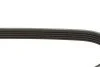 Ремінь генератора Renault Kangoo 1.4i 97-/ 1.6i 01- (5PK1110) UA63 MEYLE 050 005 1110 (фото 3)