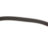 Ремінь генератора Opel Movano 2.8DTI 98-01/Renault Kangoo 1.5dCi/Master 2.5D/2.8DTI 98-01 (5 UA63 MEYLE 050 005 1200 (фото 4)