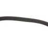 Ремінь генератора Opel Movano 2.8DTI 98-01/Renault Kangoo 1.5dCi/Master 2.5D/2.8DTI 98-01 (5 UA63 MEYLE 050 005 1200 (фото 4)