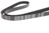 Ремінь генератора VW Passat B5/Audi A4/A6 1.6/1.8 95- (5PK1300) UA63 MEYLE 050 005 1300 (фото 3)