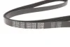 Ремінь генератора VW Passat B5/Audi A4/A6 1.9TDI 98- (5PK1435) UA63 MEYLE 050 005 1435 (фото 2)