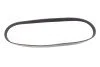 Ремінь генератора Citroen Jumper/Fiat Ducato 2.8HDi/JTD 00- (ALT,WP) (6PK995) (opt-om) MEYLE 050 006 0995 (фото 1)