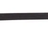 Ремінь генератора Citroen Jumper/Fiat Ducato 2.8HDi/JTD 00- (ALT,WP) (6PK995) (opt-om) MEYLE 050 006 0995 (фото 3)