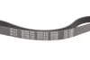 Ремінь генератора VW Caddy II 1.9D/TDI/SDI/T4 1.9D/TD (6PK1045) UA63 MEYLE 050 006 1045 (фото 2)