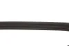 Ремінь генератора Fiat Scudo/Citroen Berlingo 1.9D/TD 96- (6PK1110) (opt-om) MEYLE 050 006 1110 (фото 4)