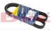 Ремінь генератора Honda Accord 2.0i/2.2i 93-98 (6PK1115) UA63 MEYLE 050 006 1115 (фото 1)
