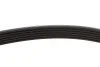 Ремінь генератора Renault Laguna 2.0 95-01 (6PK1240) (opt-om) MEYLE 050 006 1240 (фото 3)