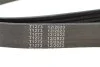 Ремінь генератора Renault Laguna 2.0 95-01 (6PK1240) (opt-om) MEYLE 050 006 1240 (фото 4)