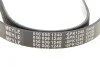 Ремінь генератора Renault Laguna 2.0 95-01 (6PK1240) (opt-om) MEYLE 050 006 1240 (фото 5)