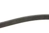 Ремінь генератора Citroen Berlingo 1.9D 98- (6PK1390) UA63 MEYLE 050 006 1390 (фото 3)