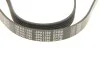 Ремінь генератора Citroen Berlingo 1.9D 98- (6PK1390) UA63 MEYLE 050 006 1390 (фото 4)