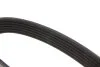 Ремінь генератора Citroen Berlingo/Fiat Scudo 1.9D (1868) (6PK1438) UA63 MEYLE 050 006 1438 (фото 2)