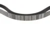 Ремінь генератора Citroen Berlingo/Fiat Scudo 1.9D (1868) (6PK1438) UA63 MEYLE 050 006 1438 (фото 3)