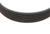 Ремінь генератора Fiat Ducato 2.0JTD 01- (ALT, AC) (6PK1468) UA63 MEYLE 050 006 1468 (фото 3)