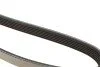 Ремінь генератора Opel Vectra/Omega (6PK1725) (opt-om) MEYLE 050 006 1725 (фото 3)