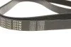 Ремінь генератора Peugeot Expert/Citroen Berlingo 1.9D/TD 96-/2.0HDI 00- (6PK1740) UA63 MEYLE 050 006 1740 (фото 2)