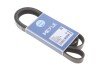 Ремінь генератора VW LT 2.5TDI 96-01/Peugeot Expert 1.9D/2.0HDI 98- (6PK1750) (opt-om) MEYLE 050 006 1750 (фото 1)