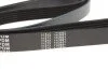 Ремінь генератора VW LT 2.5TDI 96-01/Peugeot Expert 1.9D/2.0HDI 98- (6PK1750) (opt-om) MEYLE 050 006 1750 (фото 3)
