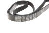 Ремінь генератора VW LT 2.5TDI 96-01/Peugeot Expert 1.9D/2.0HDI 98- (6PK1750) (opt-om) MEYLE 050 006 1750 (фото 4)