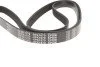 Ремінь генератора VW T4 2.0 91- (6PK1870) UA63 MEYLE 050 006 1870 (фото 2)
