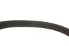 Ремінь генератора Audi/BMW/Chevrolet/MB/Opel (6PK1875) UA63 MEYLE 050 006 1875 (фото 3)