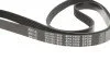 Ремінь генератора VW T4 2.0i 91-03/Opel Vectra A/B (6PK1900) UA63 MEYLE 050 006 1900 (фото 4)