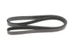 Ремінь генератора MB Sprinter CDI (-AC) (з обводним роликом) (6PK2260) UA63 MEYLE 050 006 2260 (фото 5)