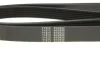 Ремінь генератора MB Sprinter CDI (+AC) (6PK2270) UA63 MEYLE 050 006 2270 (фото 4)