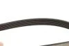 Ремінь генератора Renault Master/Opel Movano 2.2/2.5DCI 01- (7PK1145) (opt-om) MEYLE 050 007 1145 (фото 3)