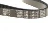 Ремінь генератора Renault Master/Opel Movano 2.2/2.5DCI 01- (7PK1145) (opt-om) MEYLE 050 007 1145 (фото 5)