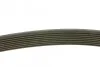 Ремінь генератора Mazda 3/5/6 2.0 DI/CD 02-10 (8PK1226) UA63 MEYLE 050 008 1226 (фото 2)
