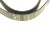 Ремінь генератора Mazda 3/5/6 2.0 DI/CD 02-10 (8PK1226) UA63 MEYLE 050 008 1226 (фото 3)
