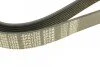 Ремінь генератора Mazda 3/5/6 2.0 DI/CD 02-10 (8PK1226) UA63 MEYLE 050 008 1226 (фото 4)