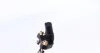Датчик положения колинвала Audi A3/TT/VW Beetle/Jetta III-IV/New Beetle 2.5 05- (opt-om) MEYLE 114 899 0006 (фото 3)
