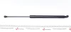 Амортизатор кришки багажника VW Golf VII Liftback 12- (531mm) (opt-om) MEYLE 140 910 0098 (фото 5)