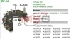 Выпрямитель диодный Выпрямитель диодный IPR844 CN MOBILETRON RP14 (фото 1)
