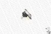 Опора кульова FIAT GRANDE PUNTO (199_) 05-, PUNTO (199_) 12-, PUNTO EVO (199_) 08-/OPEL CORSA D (S07) 06-14 MONROE L10556 (фото 2)