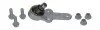Опора кульова FORD FOCUS I (Вир-во Moog) MOOG FD-BJ-0425 (фото 1)