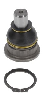 Опора кульова SMART FORFOUR (453), FORTWO (453) / TWINGO III (BCM_) -ua MOOG RE-BJ-15786