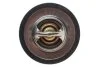 Термостат Ford Fiesta/Escort 1.1-1.3i 86-03 (opt-om) MOTORAD 200-92JK (фото 3)