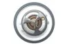 Термостат системи охолодження (82°C) NISSAN 100NX, 240SX, ALMERA TINO, ALTIMA, CABSTAR E, MURANO III, NAVARA, PATHFINDER IV, PICK UP, PRAIRIE PRO, PRIMERA, SENTRA V, SUNNY III 2.0-3.0D 10.86- MOTORAD 427-82K (фото 4)