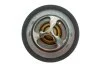 Термостат Renault Koleos/Laguna III/Megane III 2.0 16V 07- UA63 MOTORAD 457-95K (фото 2)