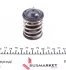 Термостат BMW 1 (F20)/X5 (E70)/5 (F10) 1.6-3.0D 04- UA63 MOTORAD 544-87K (фото 2)