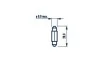 Автолампа C3W 12V 3W SV7 Standard (8x28mm) (opt-om) NARVA 170943000 (фото 2)