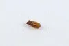Лампа розжарювання Wy5w 12v 5w W2,1x9,5d AMBER (вир-во Narva) NARVA 17169CP (фото 1)